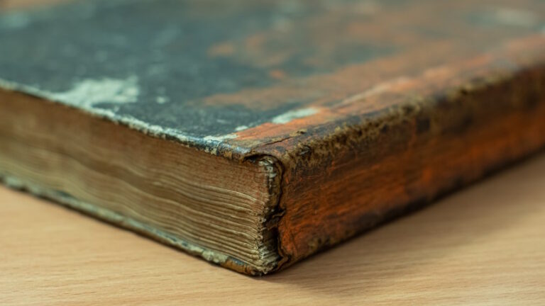 Biblioteca Universitaria di Napoli: progetto Enea con raggi gamma contro muffe e funghi