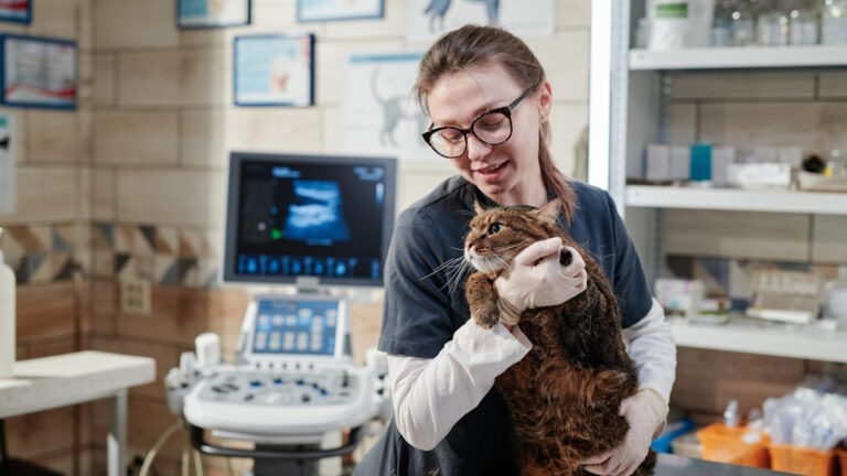 Veterinario tiene in braccio un gatto