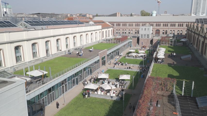 Campus Grapes