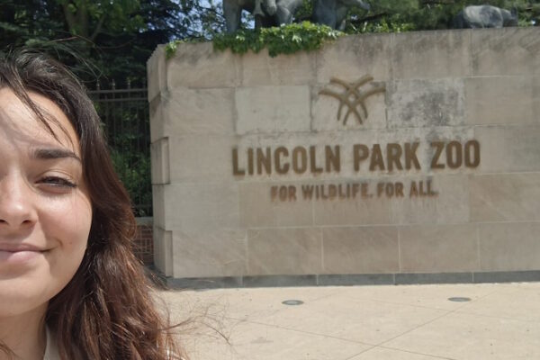 L’Università del Molise entra nella rete scientifica internazionale del Lincoln Park Zoo Laura Limonciello
