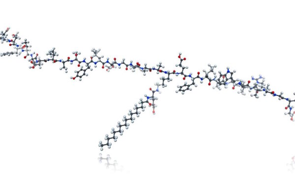 La molecola del liraglutide