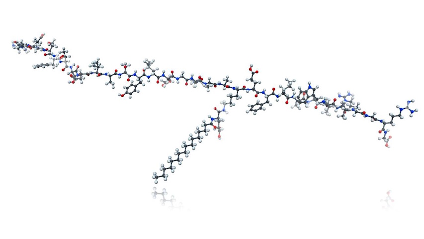 La molecola del liraglutide