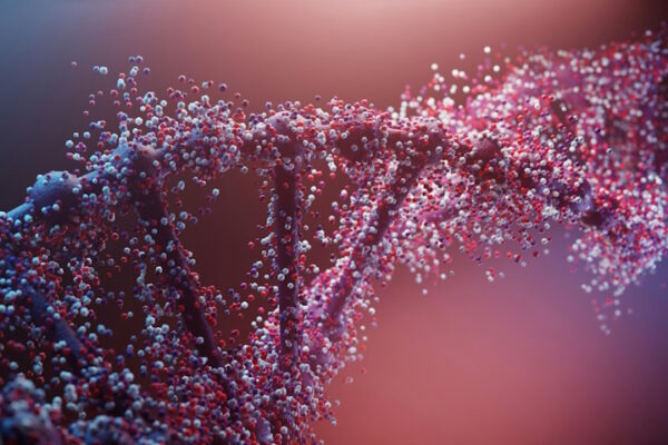 Ricerca dell’Università di Padova rivela nuovi dettagli sulle malattie mitocondriali legate alla DNA Polimerasi gamma Catena di DNA