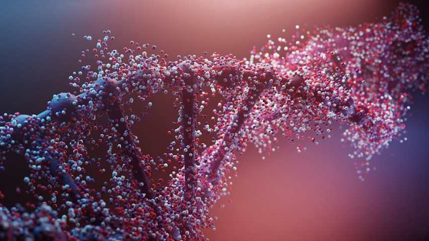 Catena di DNA