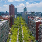 Forestazione urbana, la città di Taipei a Taiwan