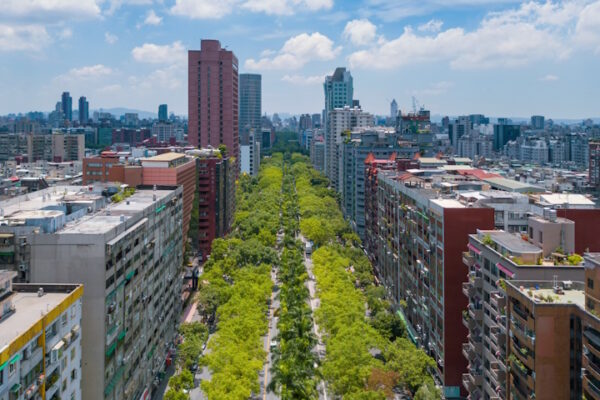 L’Università Aldo Moro di Bari eccelle nella ricerca sull’Urban forestry Forestazione urbana, la città di Taipei a Taiwan