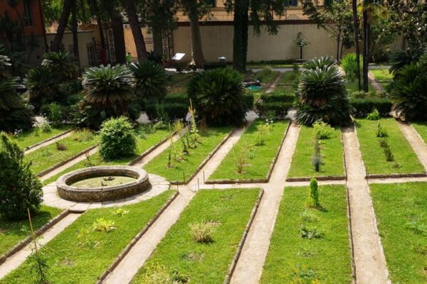 L’Orto e Museo Botanico dell’Università di Pisa entra nel Sistema Museale Nazionale Orto Pisa