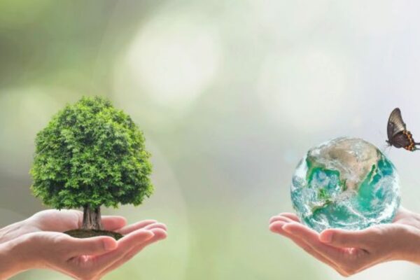 Università di Palermo: 19 borse di studio per Biodiversità e Innovazione Biodiversità e Innovazione