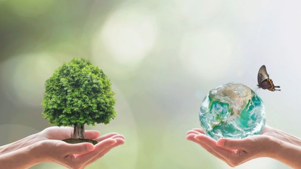 Biodiversità e Innovazione