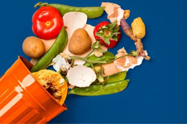 Gli italiani e la riduzione dello spreco alimentare spreco alimentare