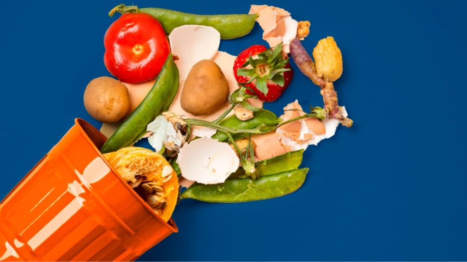 spreco alimentare