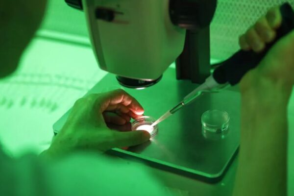 Università Vanvitelli e TIGEM: terapia genica innovativa restituisce la vista a paziente con Sindrome di Usher università_vantelli