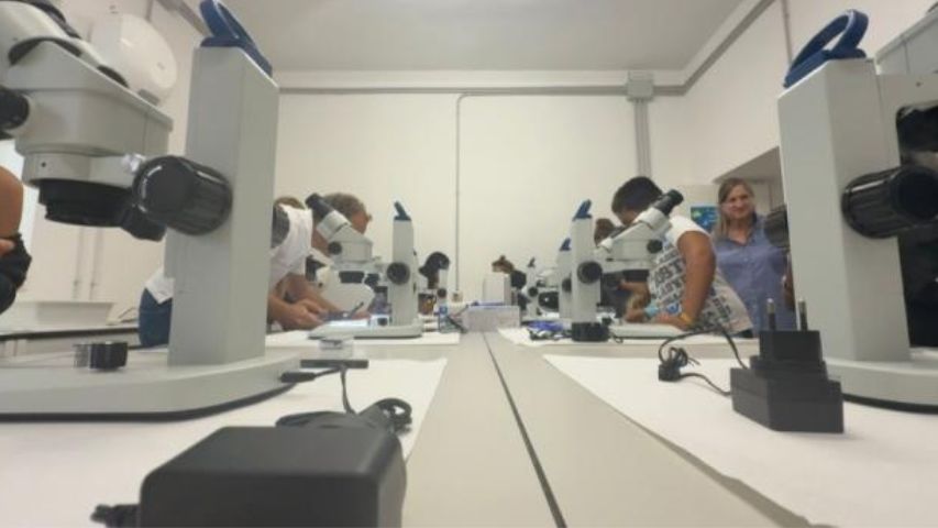 Stazione Biologica a Ponza