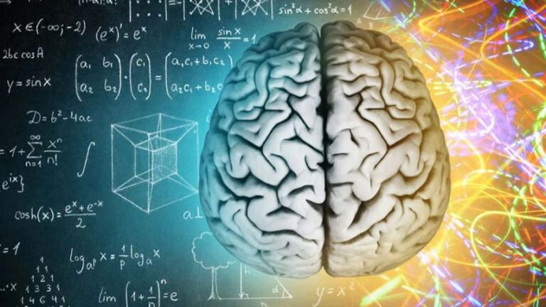 attività cognitiva