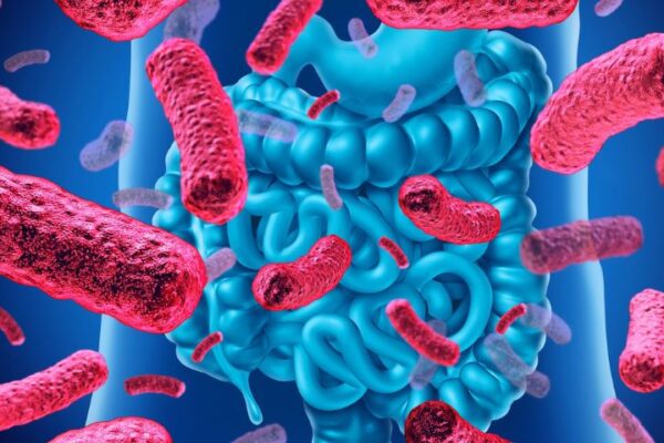 microbioma intestinale