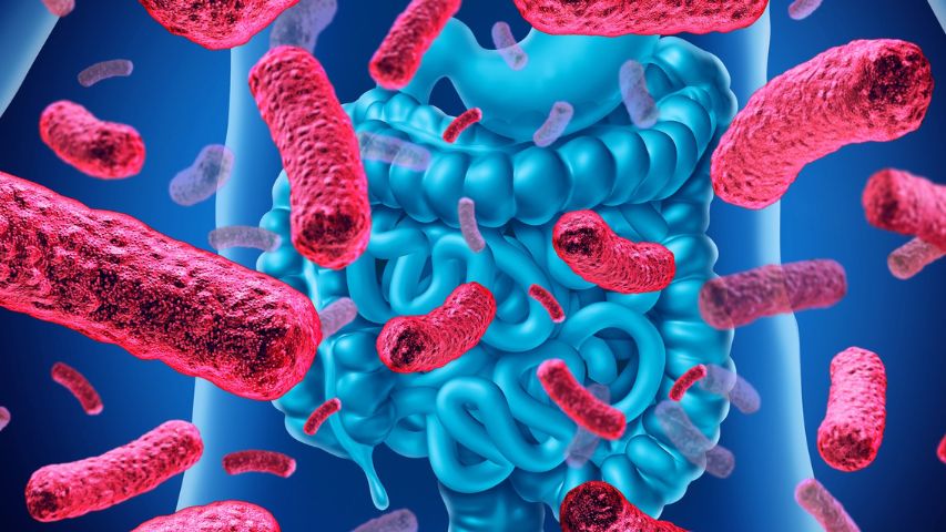 microbioma intestinale