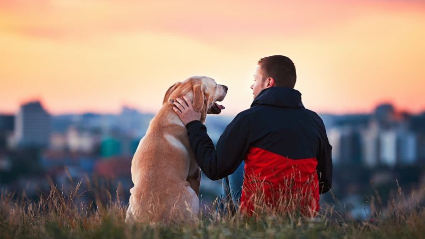 rapporto uomo-cane