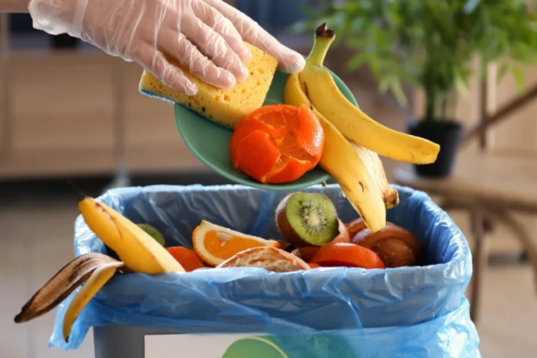 spreco alimentare